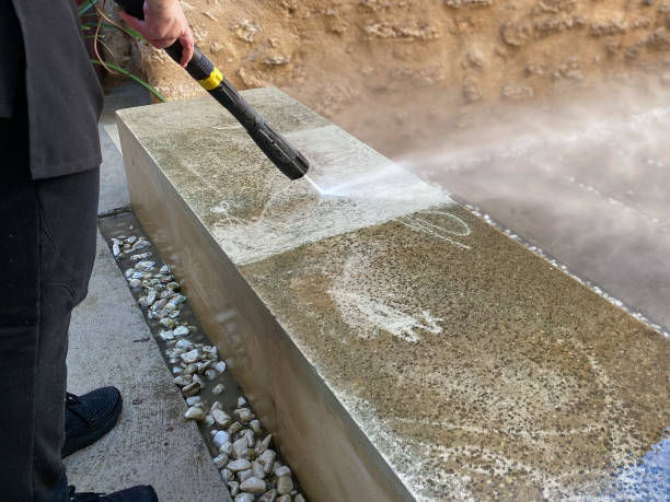 Best Roof Pressure Washing  in Zebulon, NC
